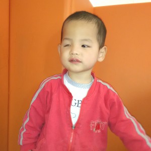 Harrison