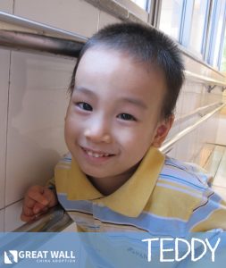 teddy